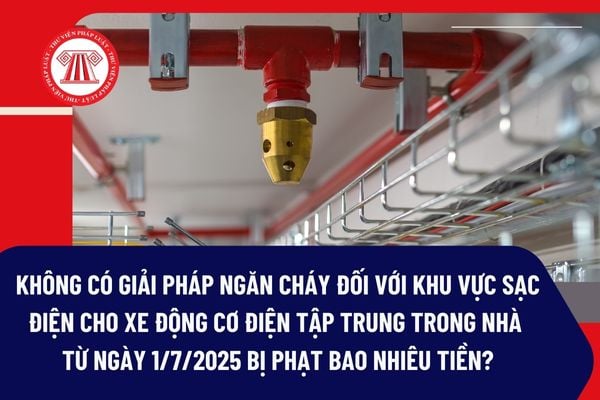 Pháp luật