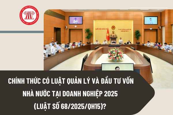 Pháp luật