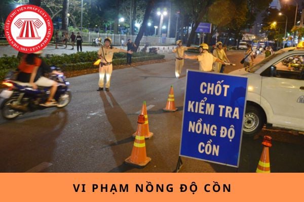 Pháp luật