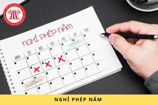 Không nghỉ hết phép năm 2024, đối với trường hợp nào người lao động được nhận lại tiền?