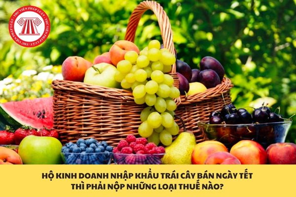 Hộ kinh doanh nhập khẩu trái cây bán ngày tết thì phải nộp những loại ...