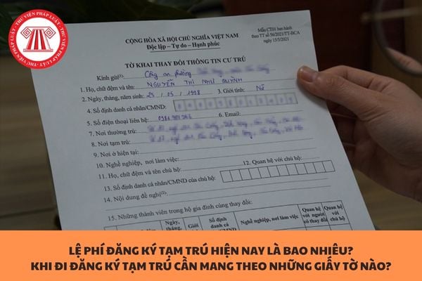 Pháp luật