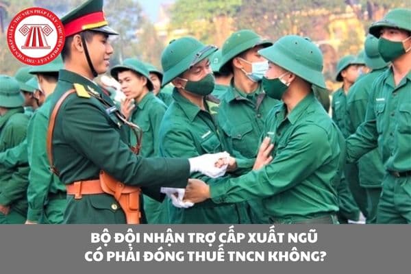 Pháp luật