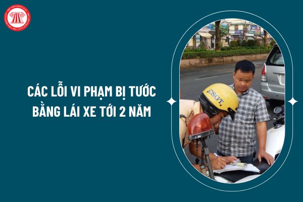 Pháp luật