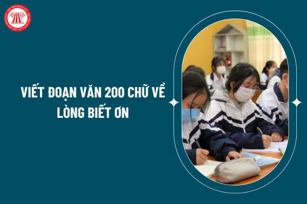 Viết đoạn văn 200 chữ về lòng biết ơn hay, chọn lọc? Mẫu viết đoạn văn 200 chữ về lòng biết ơn? Học sinh tiểu học có những quyền gì? (Hình từ internet)