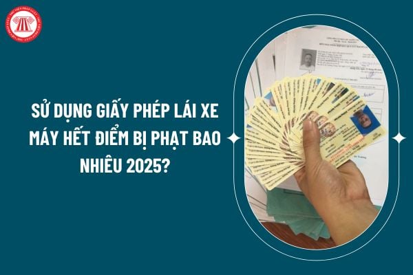 Sử dụng giấy phép lái xe máy hết điểm bị phạt bao nhiêu 2025? Mức phạt sử dụng giấy phép lái xe máy hết điểm 2025? (Hình từ internet)