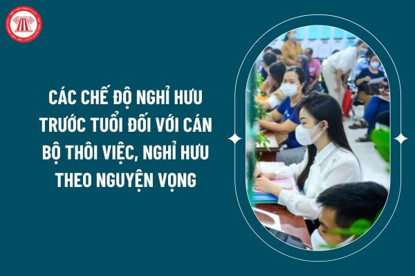 Các chế độ nghỉ hưu trước tuổi đối với cán bộ thôi việc, nghỉ hưu theo nguyện vọng theo Nghị định 177/2024 gồm những gì? (Hình từ internet)