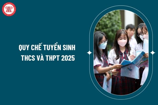 Quy chế tuyển sinh THCS và THPT 2025 thế nào? Tải về Quy chế tuyển sinh THCS và THPT 2025 ở đâu? (Hình từ internet)