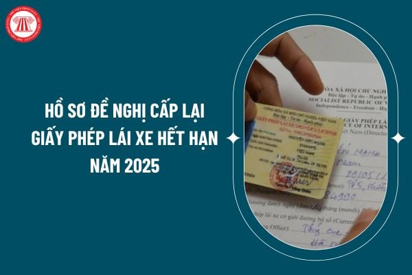 Hồ sơ đề nghị cấp lại Giấy phép lái xe hết hạn 2025 gồm những gì? Thủ tục cấp lại Giấy phép lái xe hết hạn 2025 ra sao? (Hình từ internet)