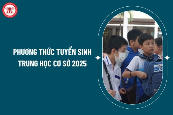 Phương thức tuyển sinh trung học cơ sở 2025 như thế nào? Quy trình tuyển sinh trung học cơ sở 2025 ra sao? (Hình từ internet)