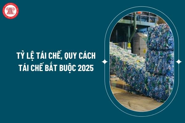 Tỷ lệ tái chế, quy cách tái chế bắt buộc 2025 theo Nghị định 05/2025 ra sao? Đăng ký kế hoạch và báo cáo kết quả tái chế ra sao? (Hình từ internet)