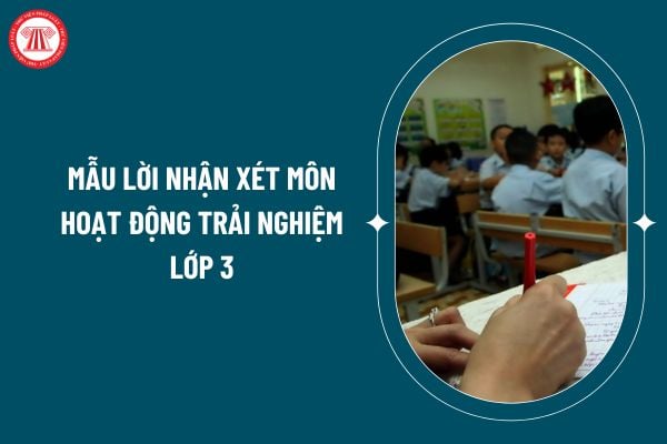 Mẫu lời nhận xét môn hoạt động trải nghiệm lớp 3 cuối kỳ 1 năm học 2024 2025? Lời nhận xét môn hoạt động trải nghiệm lớp 3 theo Thông tư 27? (Hình từ internet)