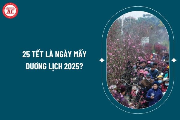 25 Tết là ngày mấy dương lịch 2025? 25 Tết 2025 là ngày mấy dương lịch? Nghỉ tết 2025 người lao động được nghỉ bao nhiêu ngày nghỉ hưởng nguyên lương? (Hình từ internet)