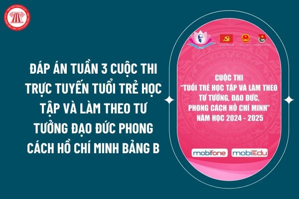 Đáp án tuần 3 cuộc thi trực tuyến Tuổi trẻ học tập và làm theo tư tưởng đạo đức phong cách Hồ Chí Minh bảng B? (Hình từ internet)