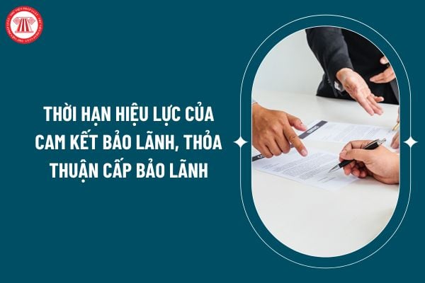 Thời hạn hiệu lực của cam kết bảo lãnh, thỏa thuận cấp bảo lãnh theo Thông tư 61/2024 ra sao? (Hình từ internet)