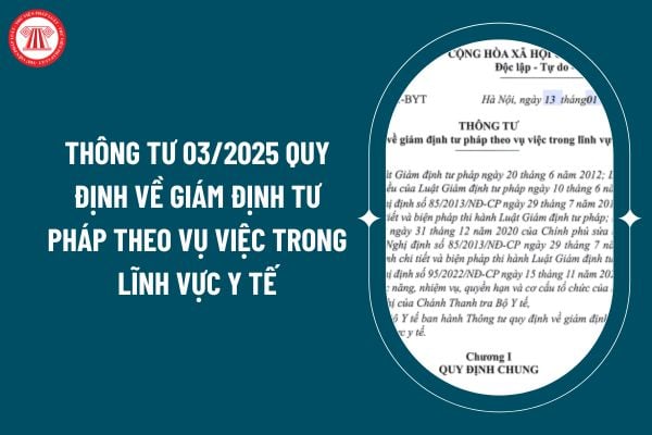 Thông tư 03/2025 quy định về giám định tư pháp theo vụ việc trong lĩnh vực y tế ra sao? Tải về Thông tư 03/2025 ở đâu? (Hình từ internet)