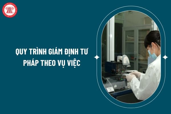 Quy trình giám định tư pháp theo vụ việc theo Thông tư 03/2025 như thế nào? Kết luận giám định tư pháp theo vụ việc được quy định ra sao? (Hình từ internet)