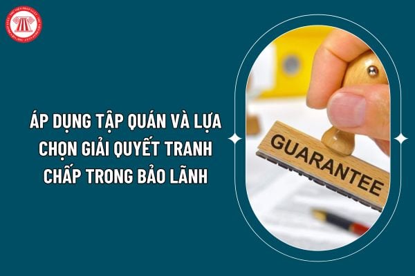 Áp dụng tập quán và lựa chọn giải quyết tranh chấp trong bảo lãnh ngân hàng thế nào theo Thông tư 61/2024? (Hình từ internet)