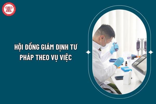 Hội đồng giám định tư pháp theo vụ việc được quy định thế nào từ 01 03 2025 theo Thông tư 03/2025? (Hình từ internet)