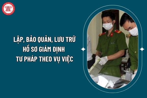 Pháp luật