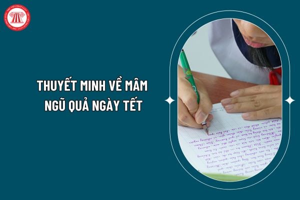 Thuyết minh về mâm ngũ quả ngày Tết? Bài thuyết trình về mâm ngũ quả ngày tết? Học sinh tiểu học có những quyền gì? (Hình từ internet)