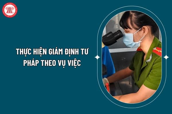 Quy định về việc thực hiện giám định tư pháp theo vụ việc theo Thông tư 03/2025 như thế nào? (Hình từ internet)