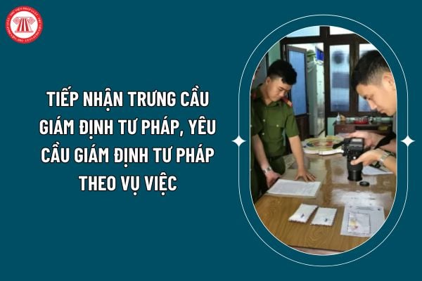 Việc tiếp nhận trưng cầu giám định tư pháp, yêu cầu giám định tư pháp theo vụ việc được quy định ra sao theo Thông tư 03/2025? (Hình từ internet)