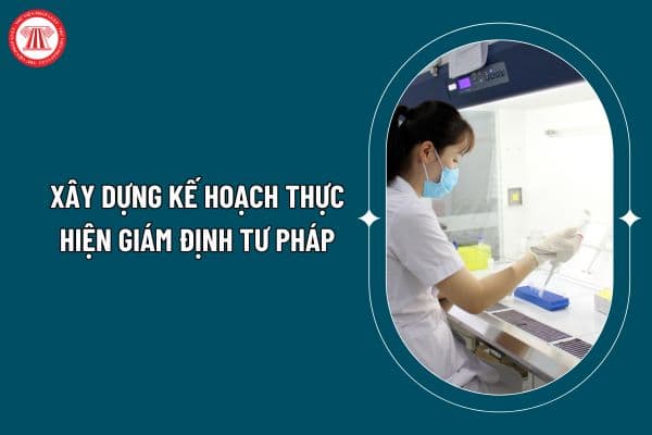 Xây dựng kế hoạch thực hiện giám định tư pháp theo vụ việc theo Thông tư 03/2025 như thế nào? (Hình từ internet)