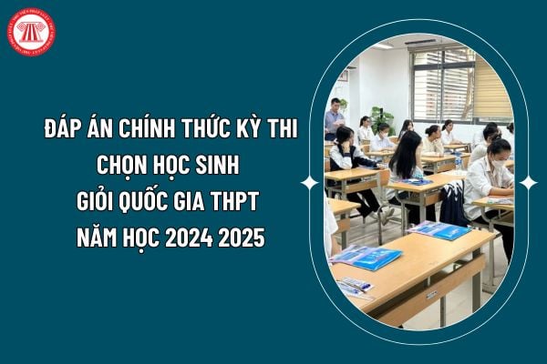 Đáp án chính thức Kỳ thi chọn học sinh giỏi quốc gia THPT năm học 2024 2025? Tải về Đáp án chính thức Kỳ thi chọn học sinh giỏi quốc gia? (Hình từ internet)