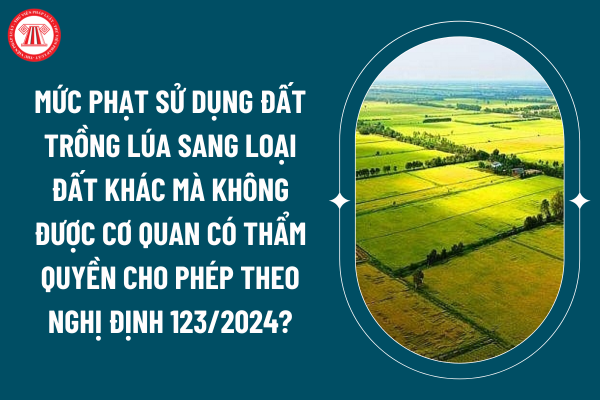 Mức phạt sử dụng đất trồng lúa sang loại đất khác mà không được cơ quan có thẩm quyền cho phép theo Nghị định 123/2024? (Hình từ internet)