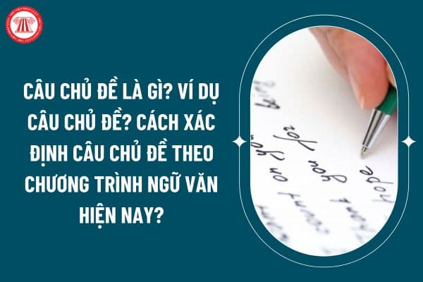 Câu chủ đề là gì? Ví dụ câu chủ đề? Cách xác định câu chủ đề theo chương trình Ngữ văn hiện nay? (Hình từ internet)