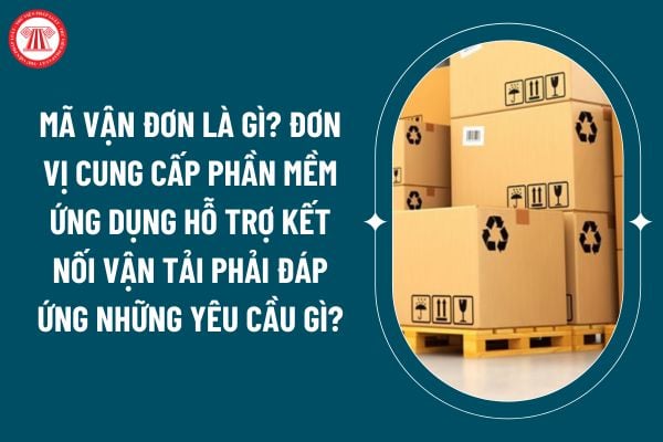 Mã vận đơn là gì? Đơn vị cung cấp phần mềm ứng dụng hỗ trợ kết nối vận tải phải đáp ứng những yêu cầu gì? (Ảnh từ internet)