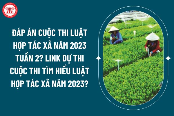 Đáp án Cuộc thi Luật Hợp tác xã năm 2023 tuần 2? Link dự thi Cuộc thi tìm hiểu Luật Hợp tác xã năm 2023? (Hình từ internet)