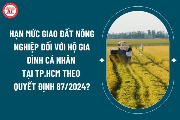 Hạn mức giao đất nông nghiệp đối với hộ gia đình cá nhân tại TP.HCM theo Quyết định 87/2024 áp dụng từ 22 10? (Hình từ internet)