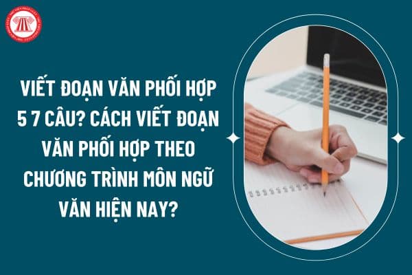 Viết đoạn văn phối hợp 5 7 câu? Cách viết đoạn văn phối hợp theo chương trình môn ngữ văn hiện nay? (Hình từ internet)