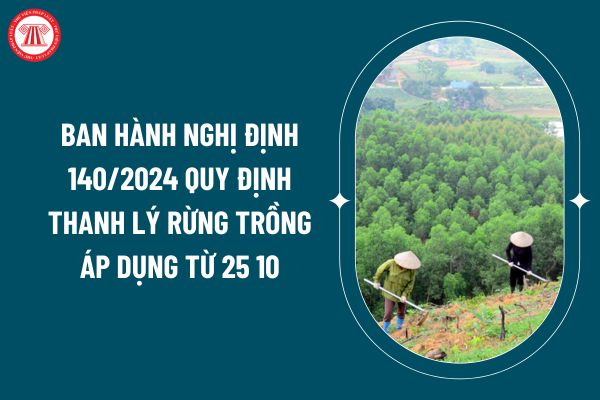 Ban hành Nghị định 140/2024 quy định thanh lý rừng trồng áp dụng từ 25 10? Trường hợp rừng trồng được thanh lý theo Nghị định 140/2024? (Hình từ internet)