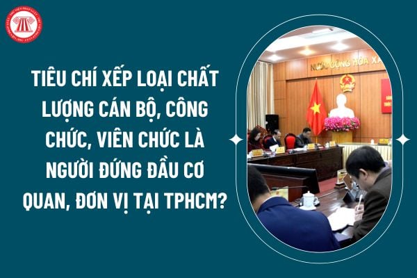 Tiêu chí xếp loại chất lượng cán bộ, công chức, viên chức là người đứng đầu cơ quan, đơn vị tại TPHCM theo Quyết định 89/2024? (Hình từ internet)