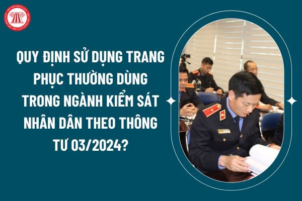 Quy định sử dụng trang phục thường dùng trong ngành Kiểm sát nhân dân theo Thông tư 03/2024 áp dụng từ 10 12? (Hình từ internet)