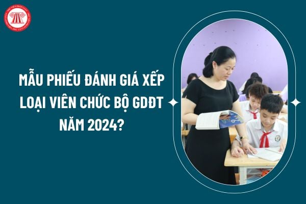 Mẫu phiếu đánh giá xếp loại viên chức Bộ GDĐT năm 2024? Tải về Mẫu phiếu đánh giá xếp loại viên chức Bộ GDĐT năm 2024? (Hình từ internet)