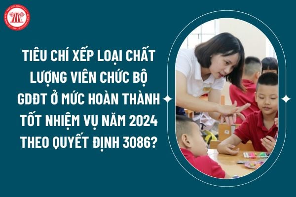 Tiêu chí xếp loại chất lượng viên chức Bộ GDĐT ở mức hoàn thành tốt nhiệm vụ năm 2024 theo Quyết định 3086? (Hình từ internet)