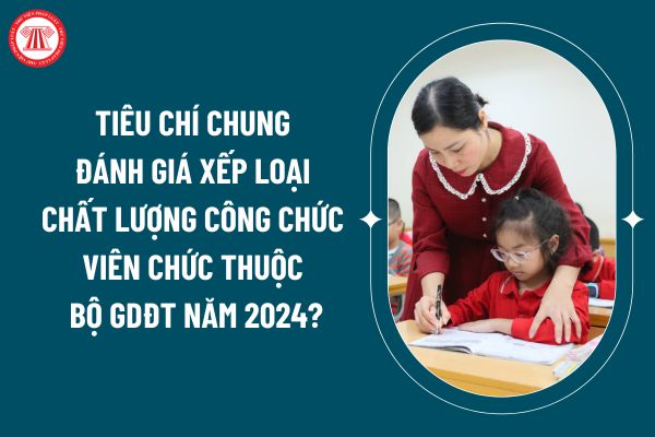 Tiêu chí chung đánh giá xếp loại chất lượng công chức viên chức thuộc Bộ GDĐT năm 2024 theo Quyết định 3086? (Hình từ internet)