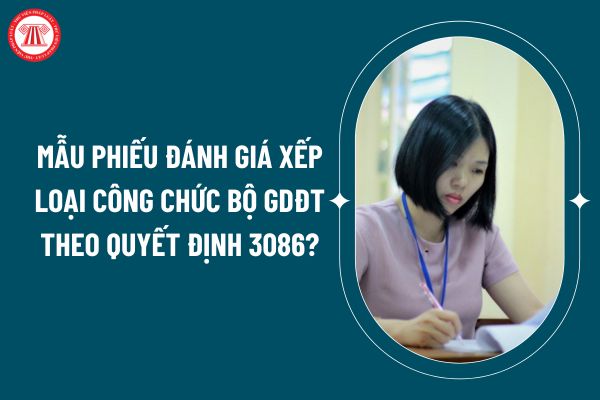 Mẫu phiếu đánh giá xếp loại công chức Bộ GDĐT theo Quyết định 3086? Tiêu chí xếp loại chất lượng công chức ở mức hoàn hành tốt nhiệm vụ? (Hình từ internet)