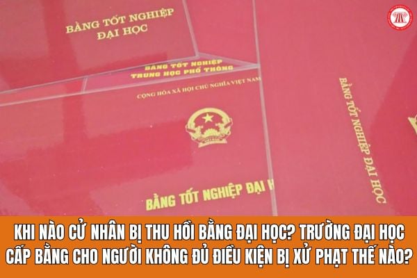 Khi nào cử nhân bị thu hồi bằng đại học? Trường đại học cấp bằng cho người không đủ điều kiện bị xử phạt thế nào? (Ảnh từ Internet)