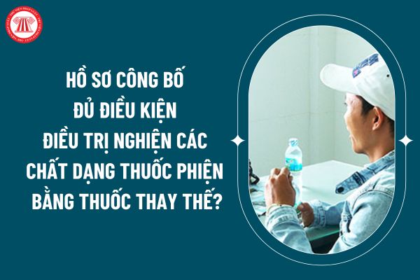 Hồ sơ công bố đủ hoạt động điều kiện điều trị nghiện các chất dạng thuốc phiện bằng thuốc thay thế theo Nghị định 141/2024 gồm những gì? (Hình từ internet)