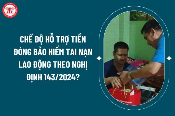 Chế độ hỗ trợ tiền đóng bảo hiểm tai nạn lao động tự nguyện cho người lao động không có hợp đồng lao động theo Nghị định 143/2024 thế nào? (Hình từ internet)