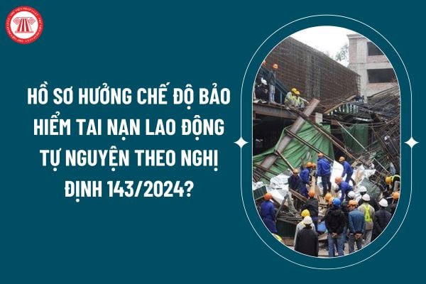 Hồ sơ hưởng chế độ bảo hiểm tai nạn lao động tự nguyện theo Nghị định 143/2024 gồm những gì? (Hình từ internet)