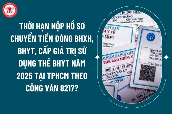 Thời hạn nộp hồ sơ chuyển tiền đóng BHXH, BHYT, cấp giá trị sử dụng thẻ BHYT năm 2025 tại TPHCM theo Công văn 8217 thế nào? (Hình từ internet)