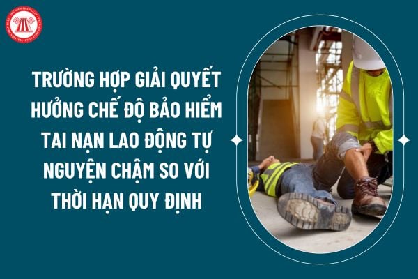 Giải quyết hưởng chế độ bảo hiểm tai nạn lao động tự nguyện chậm so với thời hạn quy định với những trường hợp nào theo Nghị định 143/2024? (Hình từ internet)