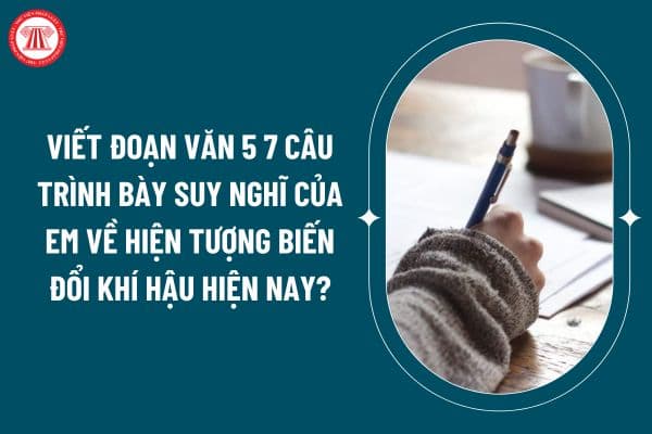 Viết đoạn văn 5 7 câu trình bày suy nghĩ của em về hiện tượng biến đổi khí hậu hiện nay? Cơ quan nhà nước có trách nhiệm gì trong thích ứng với biến đổi khí hậu? (Hình từ internet)