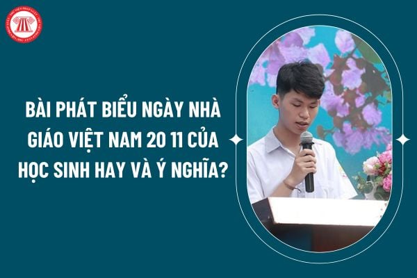 Bài phát biểu Ngày Nhà giáo Việt Nam 20 11 của học sinh hay và ý nghĩa? Mẫu Bài phát biểu Ngày Nhà giáo Việt Nam 20 11 của học sinh thế nào? (Hình từ internet)